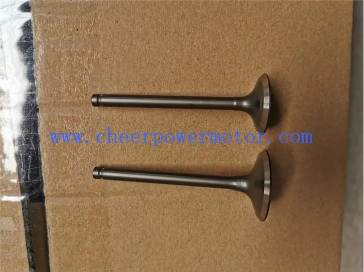 SHINERAY XY125-8X Exhaust Engine Valve for Motorbike (2)